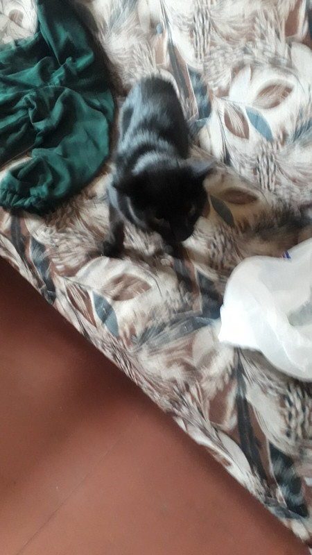 8345C081-94D5-4AA7-825A-A2801DADEF12