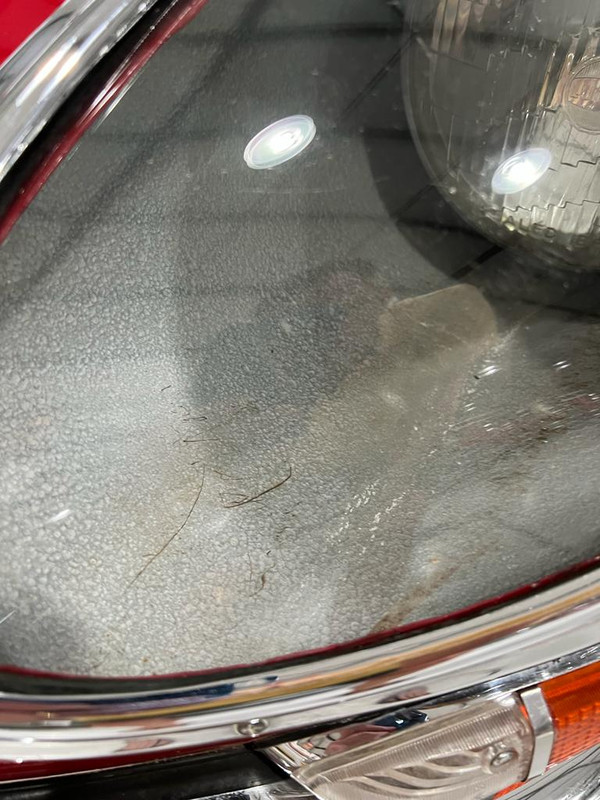 WhatsApp Image 2022-12-08 at 11.33.42 AM (3)