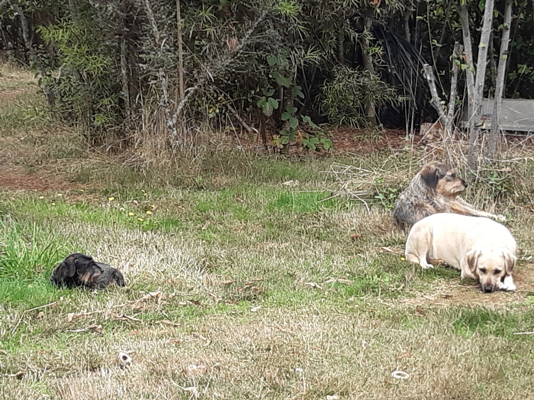 [Image: 20240326-171020.jpg]