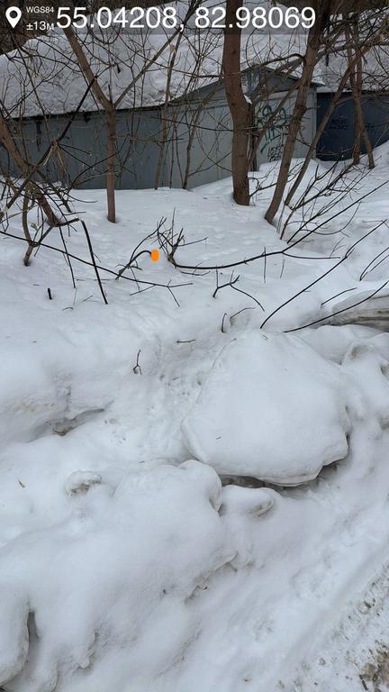 5803613542 e1ab1fa2 jpg