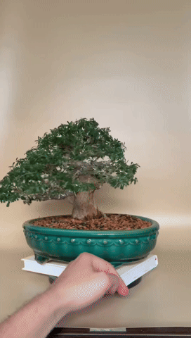 f7a78be3-3cb4-45c7-91c4-d2cf81cbd4e9.gif