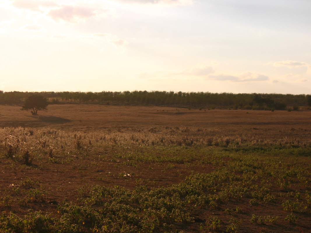 Teknival BG 2013 (108)