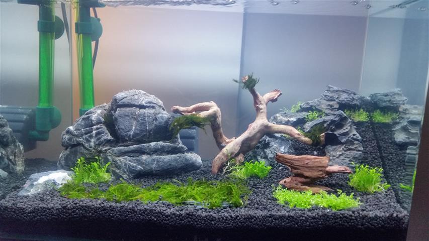 20141128_210209 (Small)