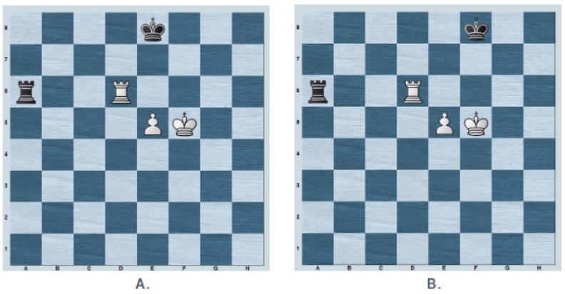 mmsanchezchess's Blog • Level Up Your Endgames Part 3: 2 Rook Endgame Ideas  You Have to Know •