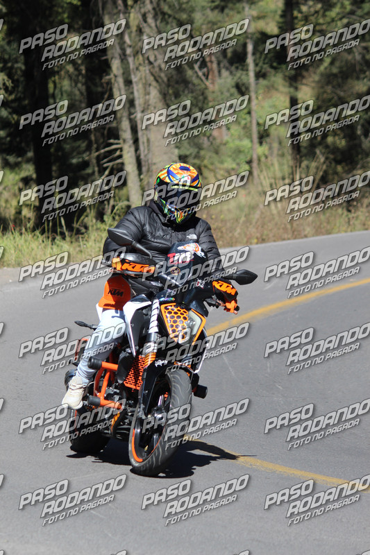 IMG 7567 — Postimages