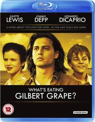 Buon Compleanno Mr. Grape (1993) WebDL 1080p E-AC3 ITA