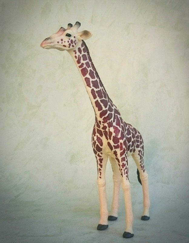 Mojo 2020 - Masai Giraffe 20200627-130535