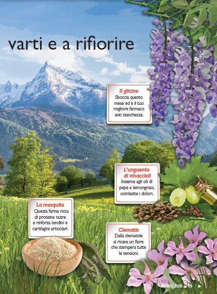 Salute Nat Apr 2020 (2)