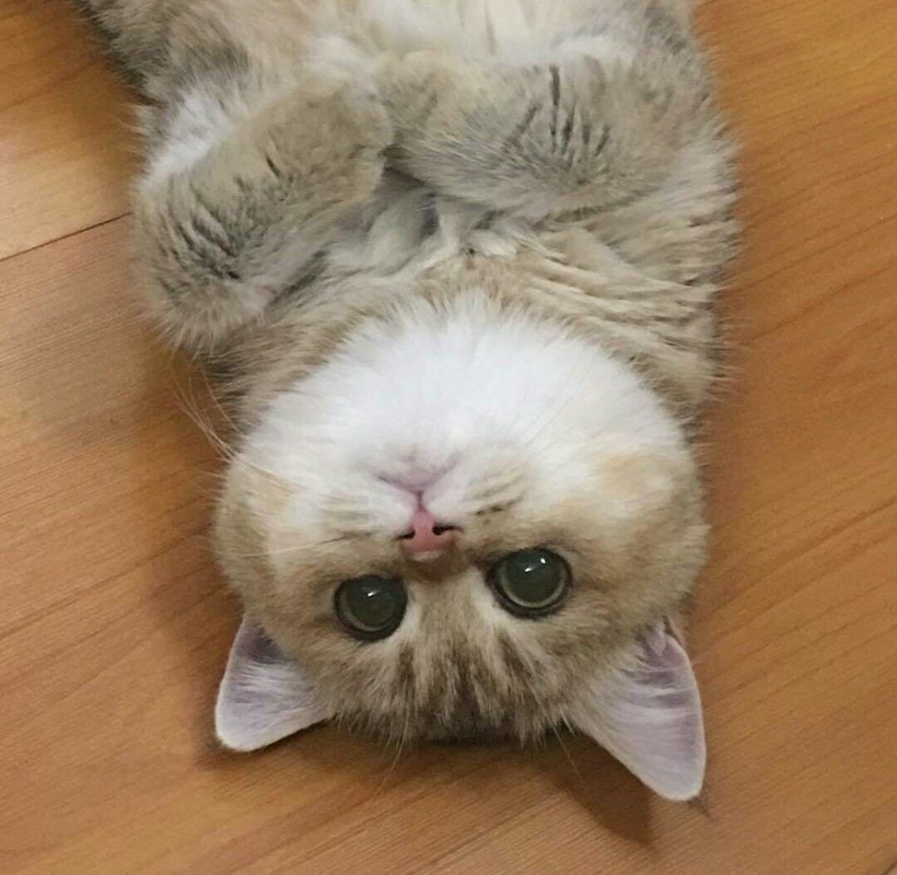 6D82B639-D172-440E-9581-46807F26A0C0