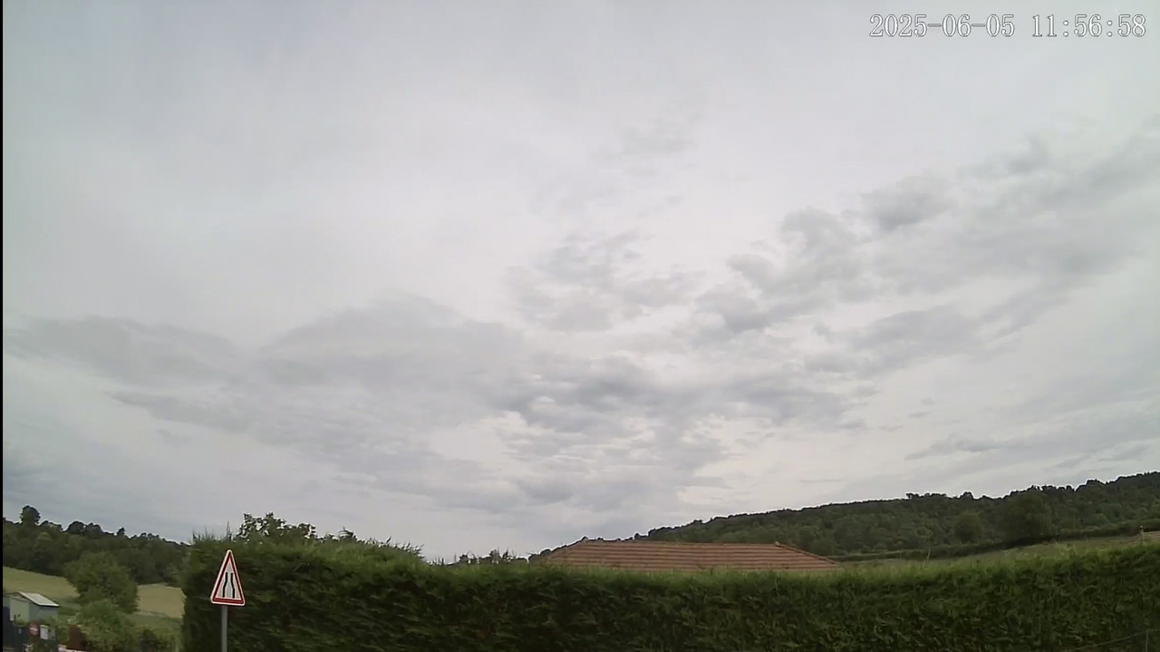 IMG-1272.jpg