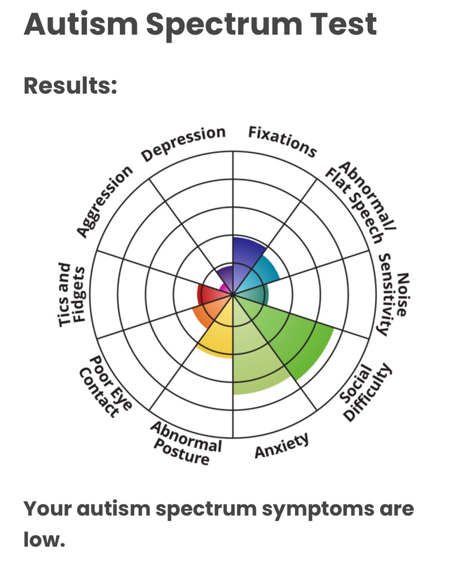 autism/not diagnosed
