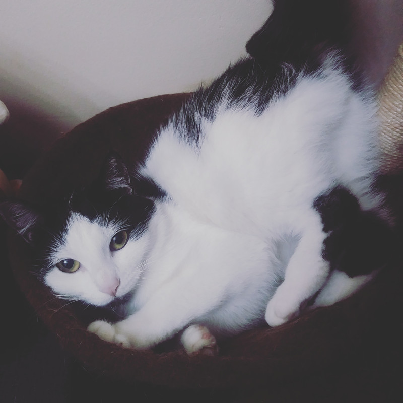 IMG_20210517_213810_552