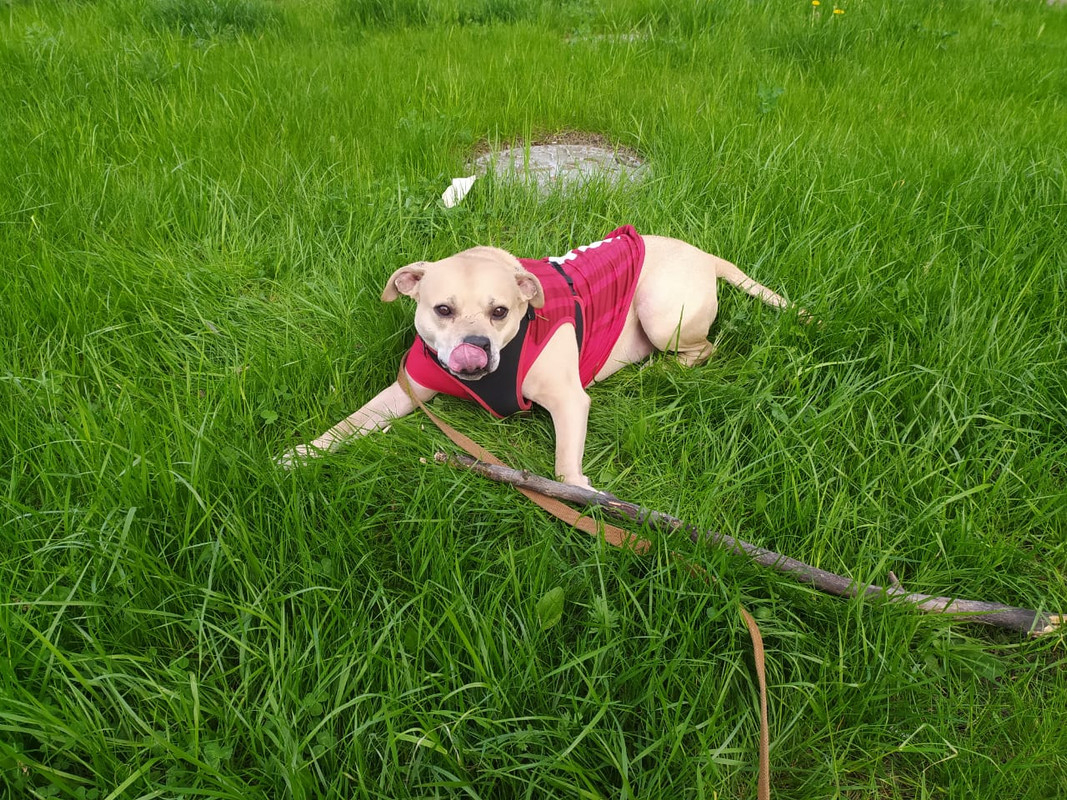 8EE19FCF-4C04-46EC-8176-95A42D44D8AE