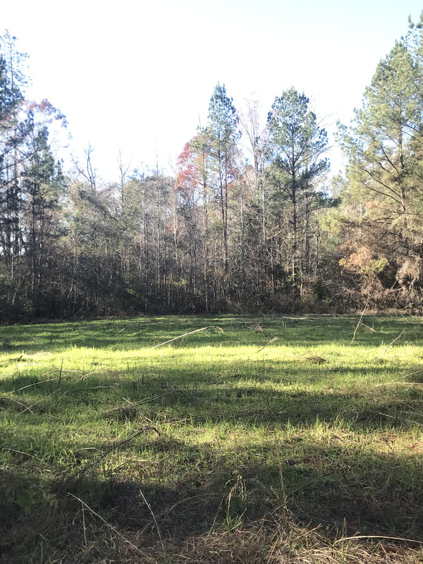 field