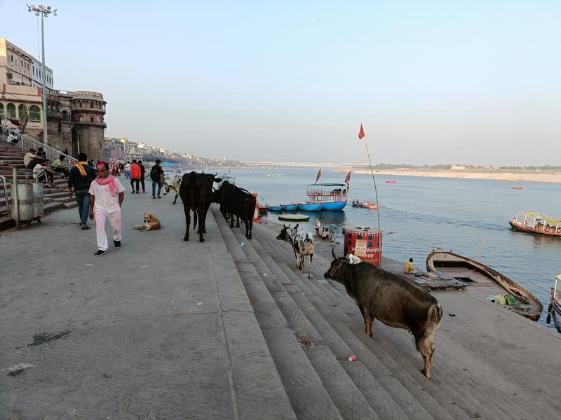 https://i.postimg.cc/YSJ6T9mF/Varanasi-(39).jpg