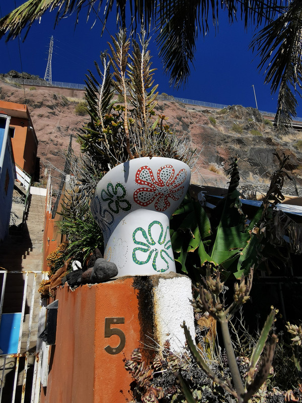 IMG_20240103_123206_edit_88326583207354