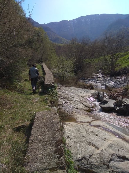 4253A676-301B-40A9-B6B1-73CD3CE33CC2