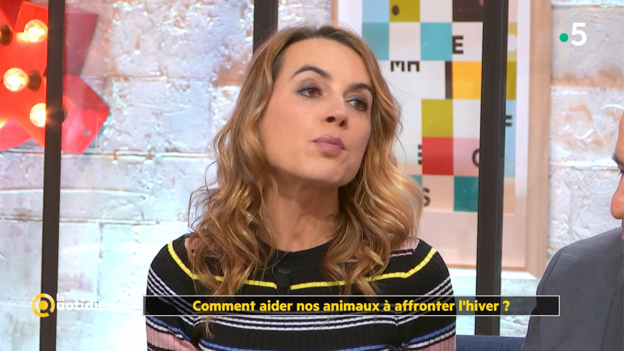 08 January - 10.45.00 - La quotidienne. Consommation solidaire e