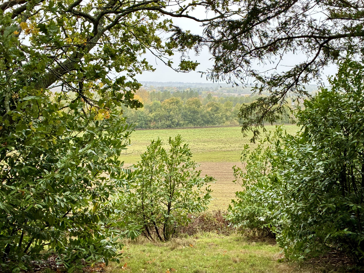 IMG 0102