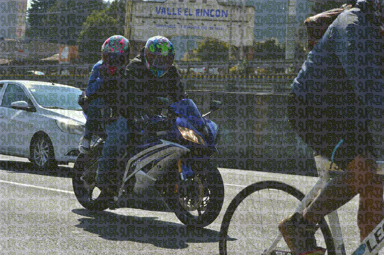 DSC 0019