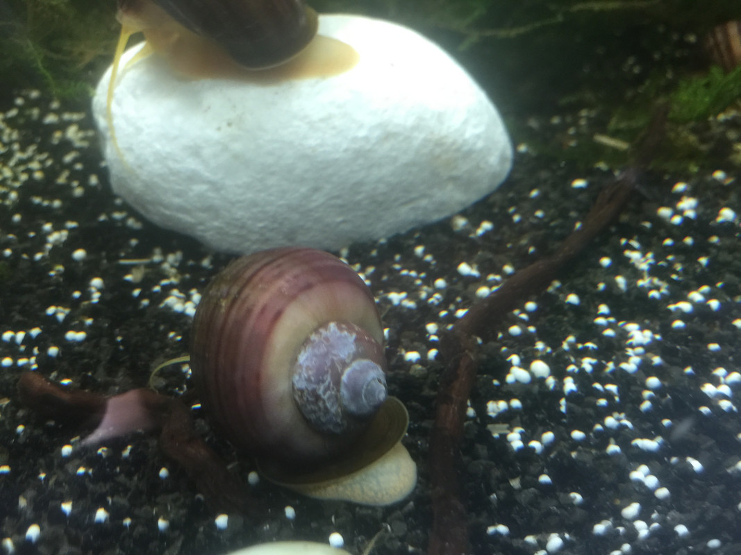 C29A1EAF-F908-4391-A071-52C159375C4A