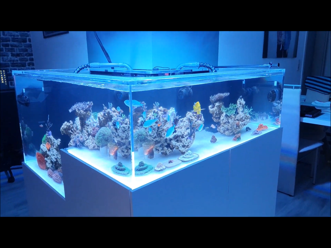 6AF03C80-D418-4AFC-85CC-069C6AB5A176