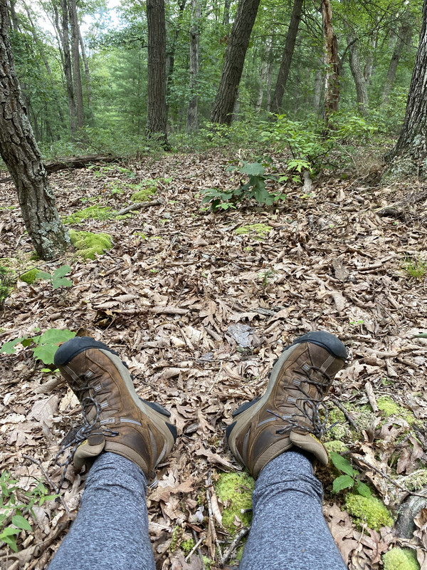 6CEB6C0A-844B-4907-96D5-9B1ED930CBEE