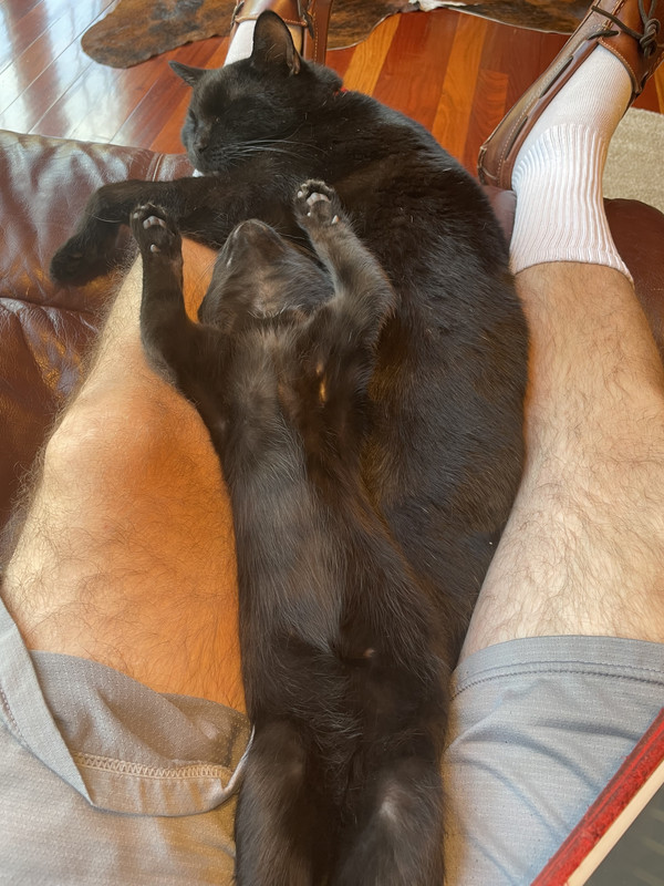 9603E5D2-B20E-438A-80BC-4E5F7D2744A2