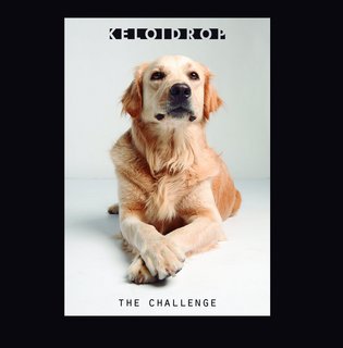 Keloidrop - The Challenge (2020).mp3 - 320 Kbps