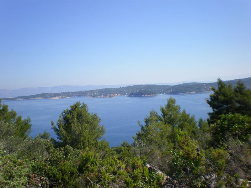 Picturevela luka 289