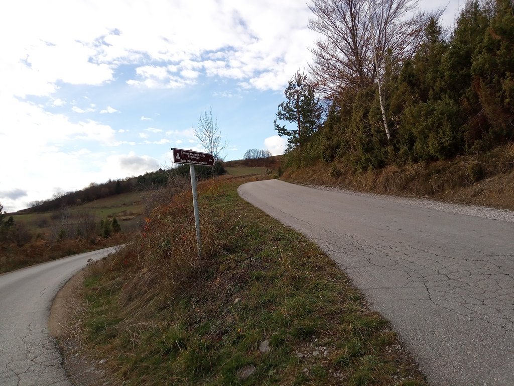 IMG-20231111-143602-507.jpg