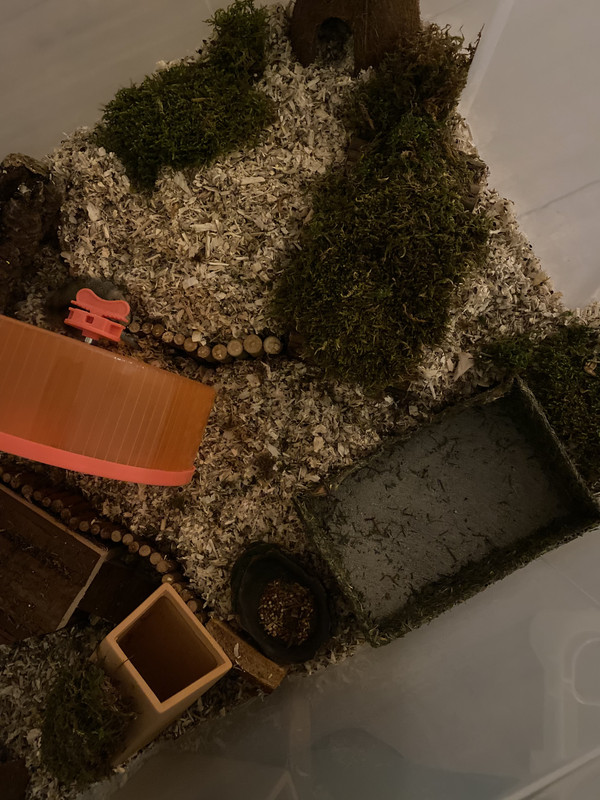 40968A82-C579-4F65-BABC-229063674DF1