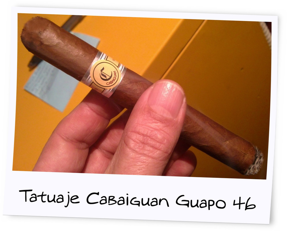 tuxpi.com.1699977568