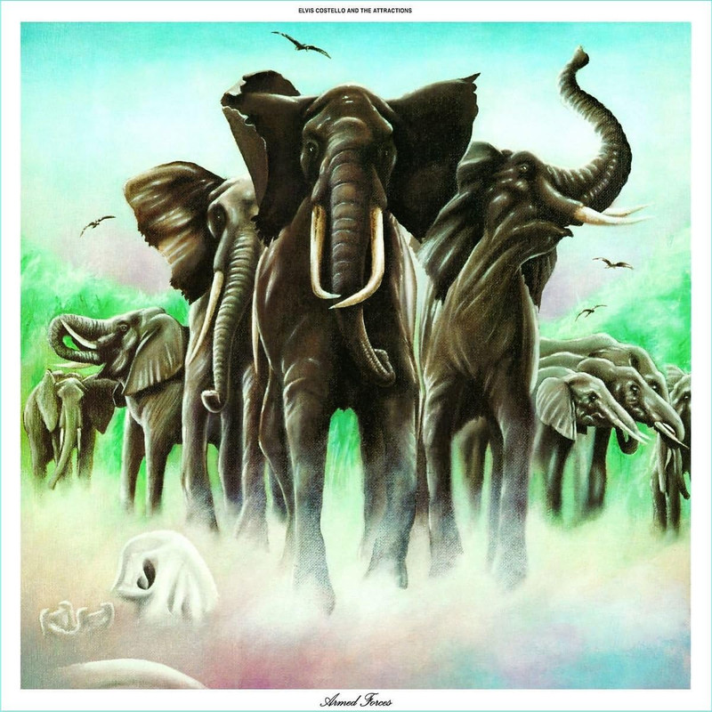 81pHDMwrAiL._AC_SL1200_