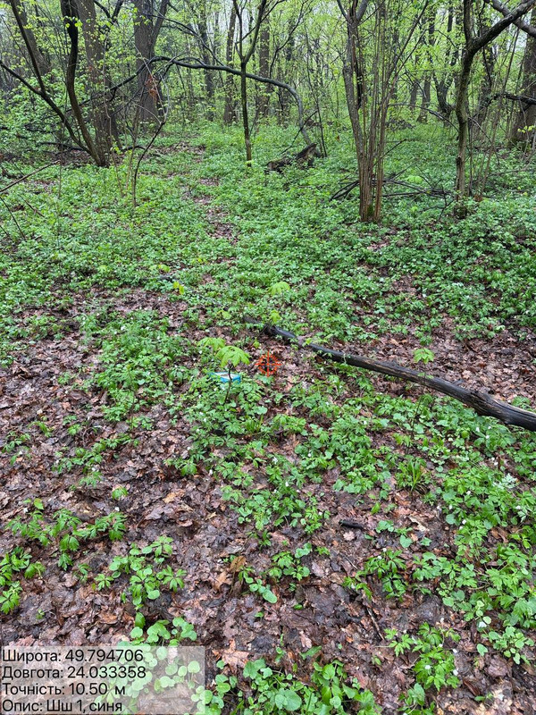 a9603a251c0dddb5138e322d7c79db242baa