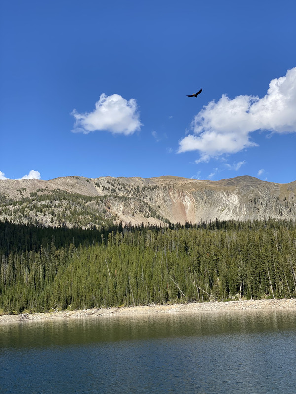 AF169B22-8B65-495B-8C01-7BFD0C2BA98B