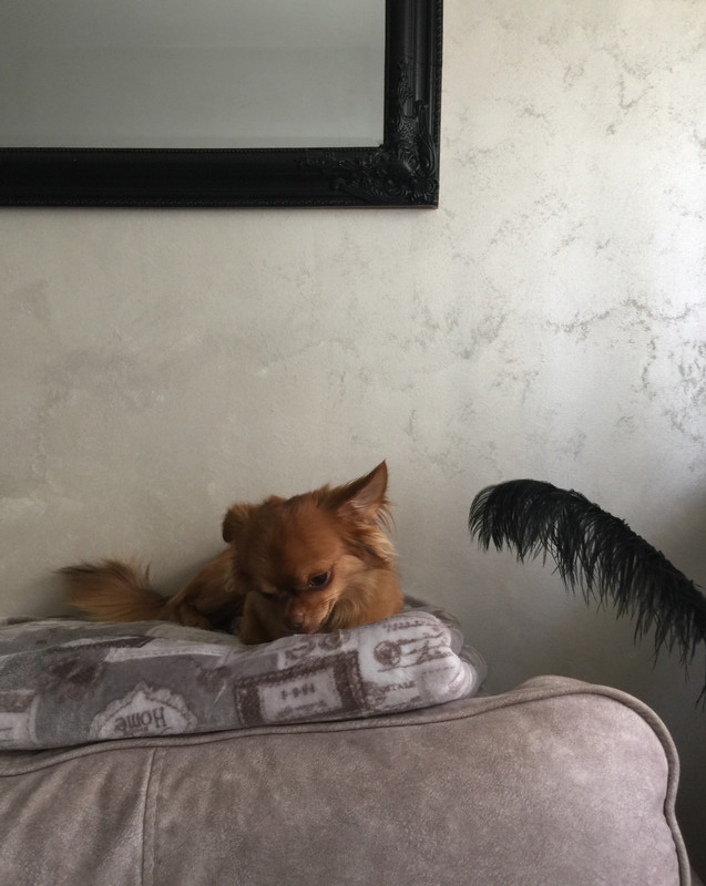 B01E3A10-3A7C-4605-8EAE-316CFA389562