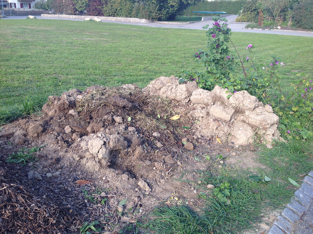 Kompostmiete Aus Drei mach Eins 2.Okt. 2015 (9)