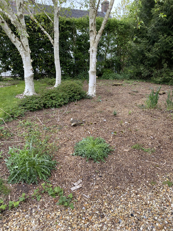 ED59F2EE-97D4-46AC-AD4F-630BE7DE6019