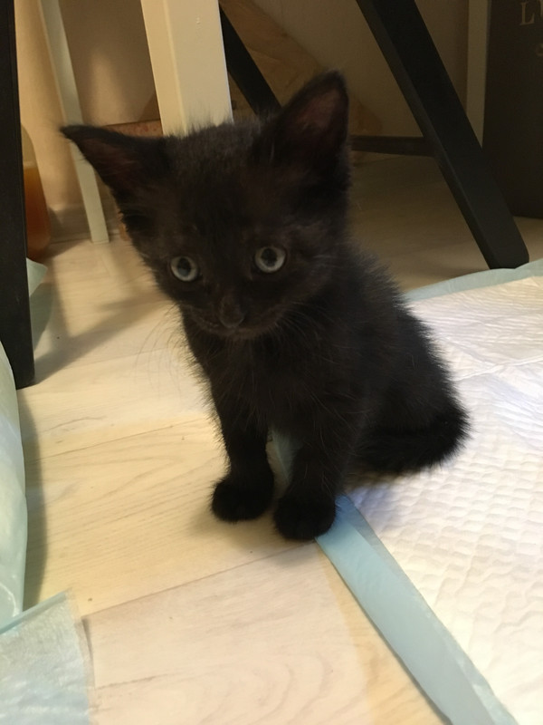 D586E03F-6110-4504-913F-DFE1DA36B82C