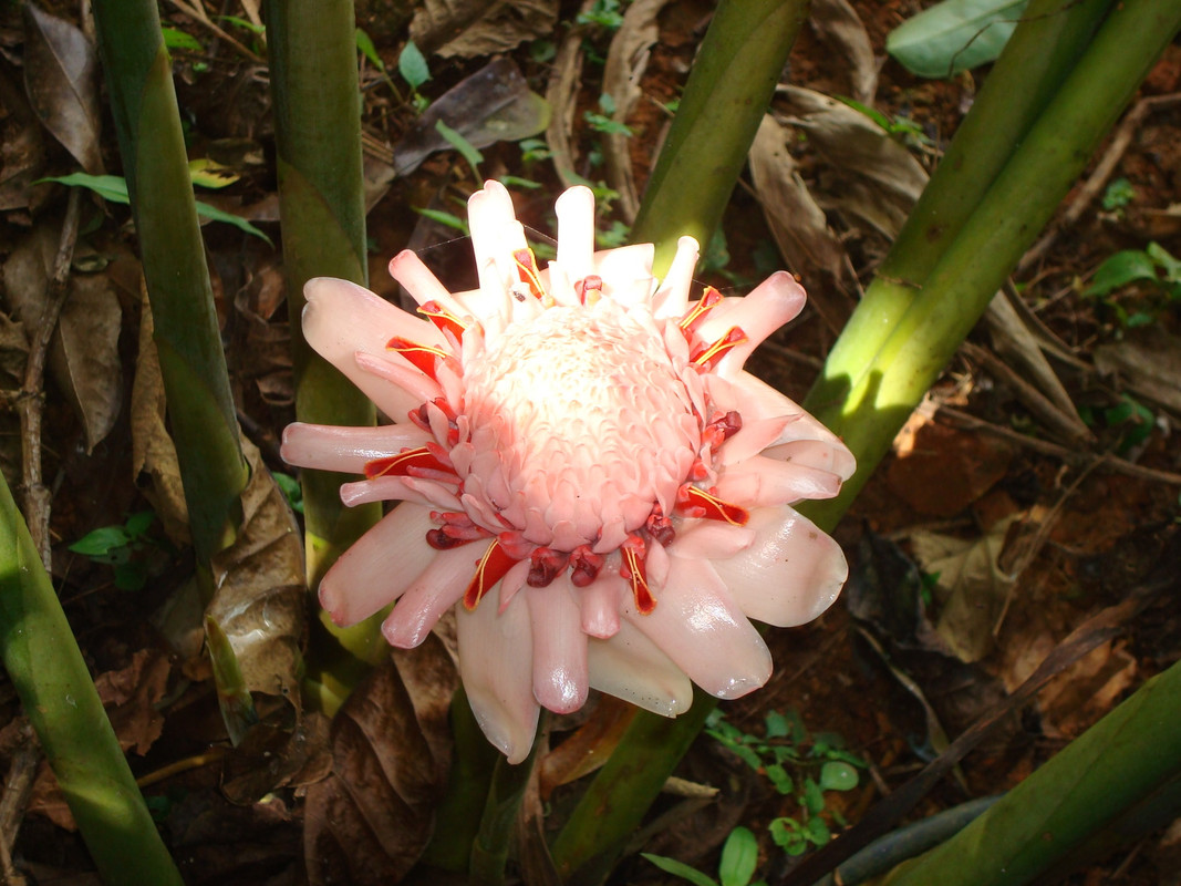 DSC06760