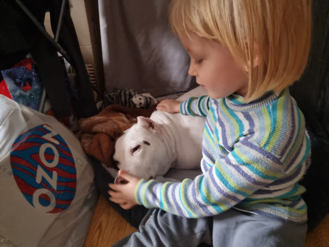 0DB26394-D76E-4067-8B16-2F074F5BD96F