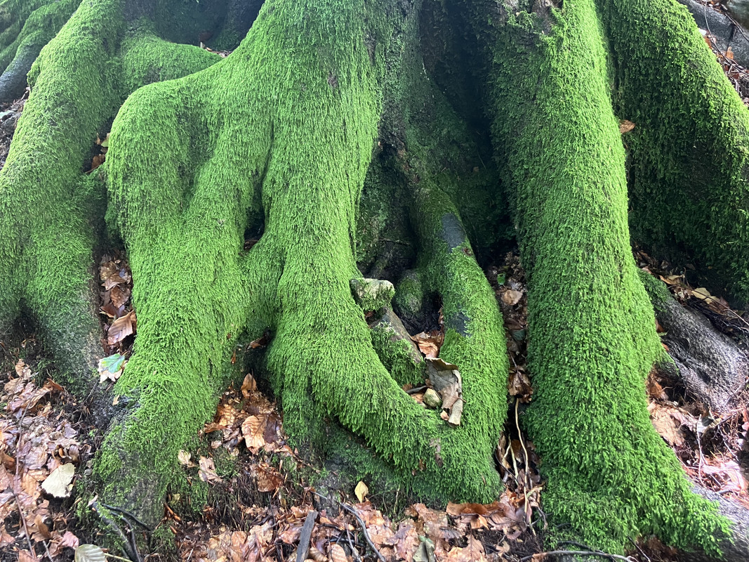 DB8F5F02-BDE0-4AF8-A6C0-6E89DCA92C83