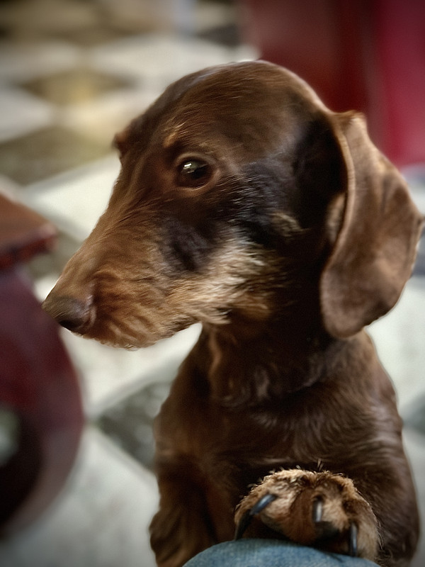 [Image: IMG-4868.jpg]