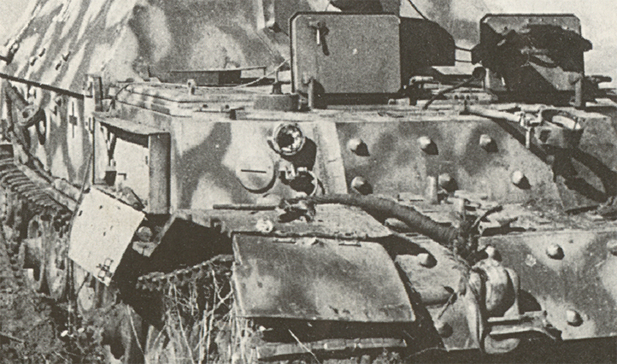 фердинанд0002