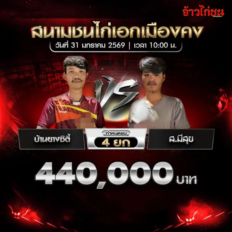 โปรแกรมไก่ชน คู่เด่น บ้านยางซิตี้ พบ ส.มีสุข สนามชนไก่เอกเมืองคง 31 มกราคม 2569