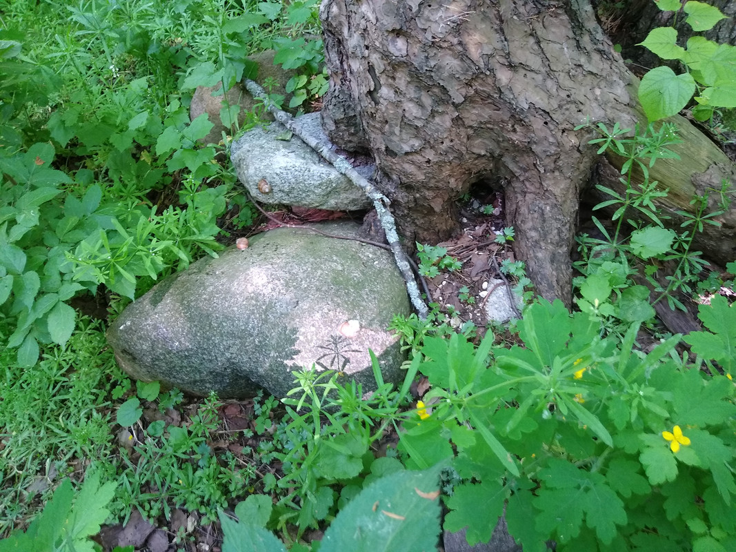 09.20 - IMG_20210604_101342368 (panna Monika)