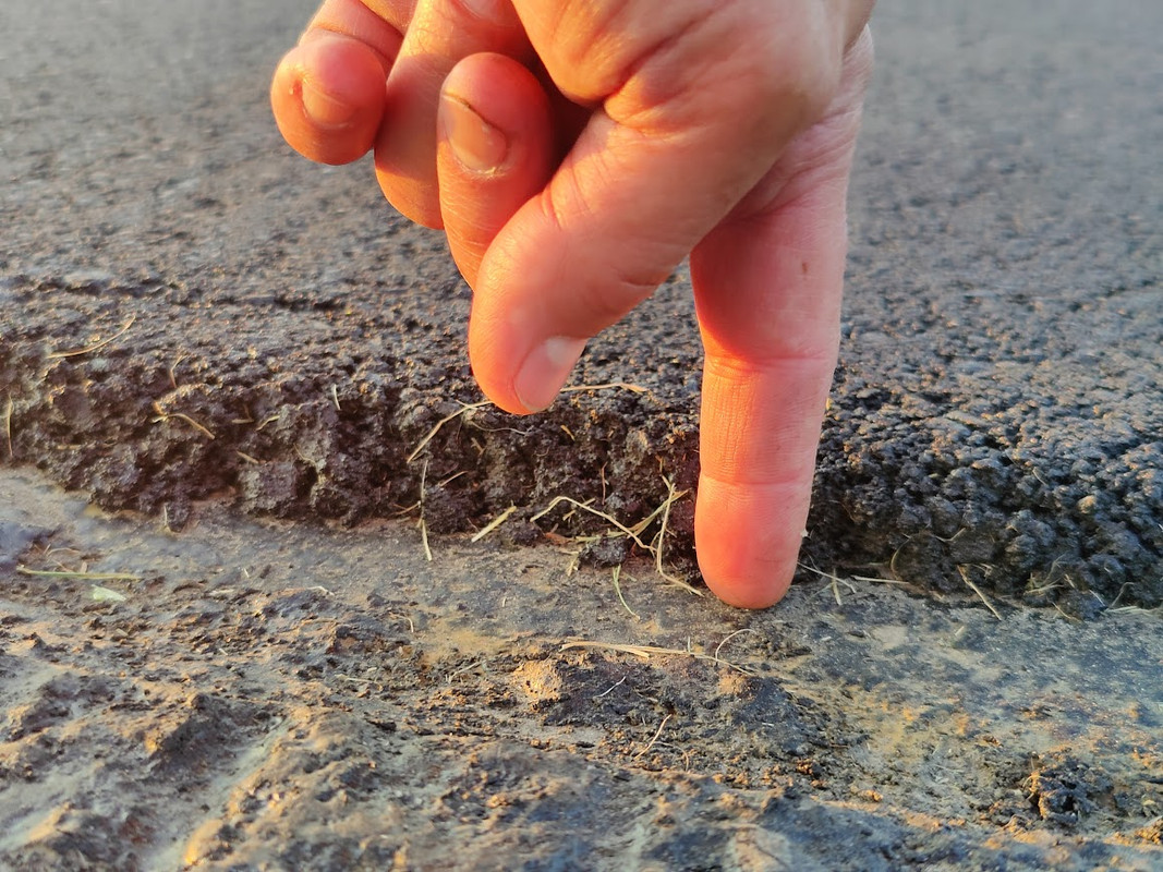 IMG20240621204258 (1)