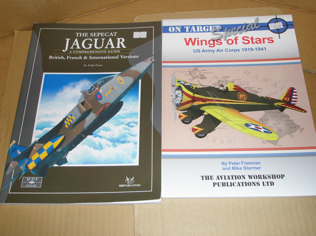 Jaguar Wings of Stars