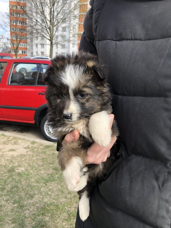 DD603112-A7BD-419A-8541-43DD93D117F4